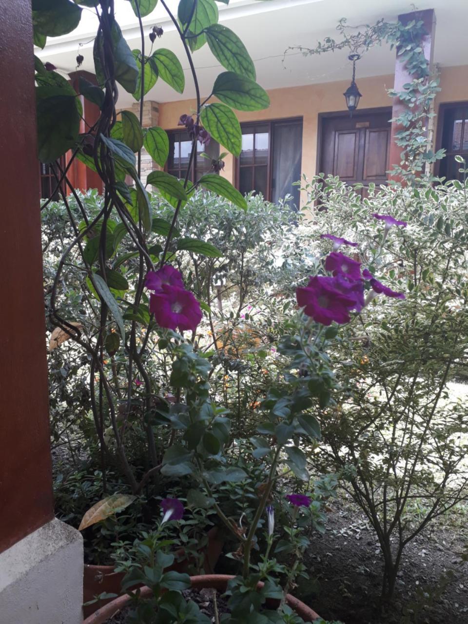 Posada Gema De Copan ซานตา โรซา เด โกปัน ภายนอก รูปภาพ